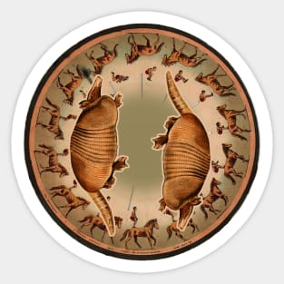 Armadillo standing over man and horse in vintage movement Sticker